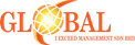 Global Logo